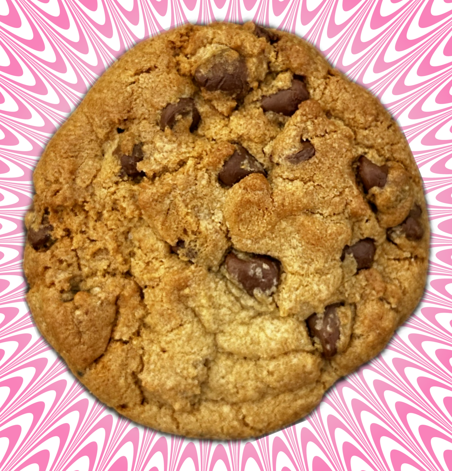 Chocolate Chip Cookie